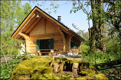 Neubau Blockh&uuml;tte Altsorgefeld